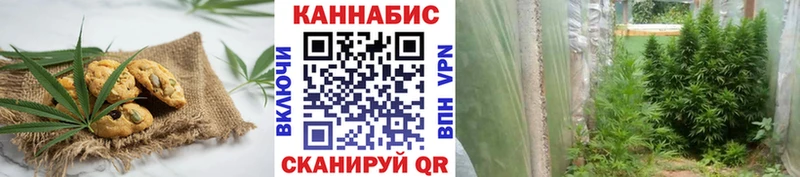 Canna-Cookies конопля  где продают наркотики  ОМГ ОМГ ТОР  Оха 