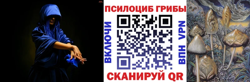 наркотики  Оха  Галлюциногенные грибы Psilocybe 